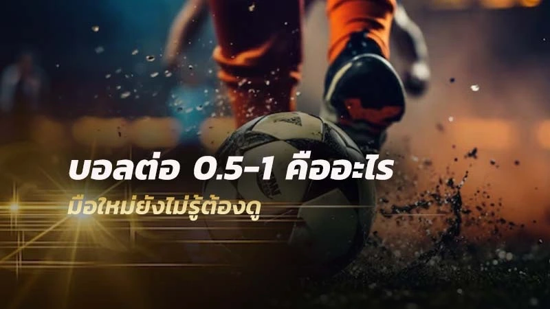 ต่อ 0.5-1 คือ
